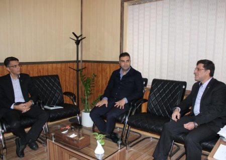 عملکرد درخشان بانک مسکن در طرح نهضت ملی مسکن/ تخصص و تجربه بانک مسکن در خدمت نهضت ملی مسکن