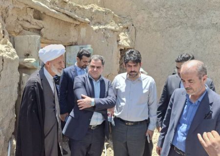 بازدید معاون وزیر راه و شهرسازی از پروژه‌های مشارکتی شرکت بازآفرینی در فسا